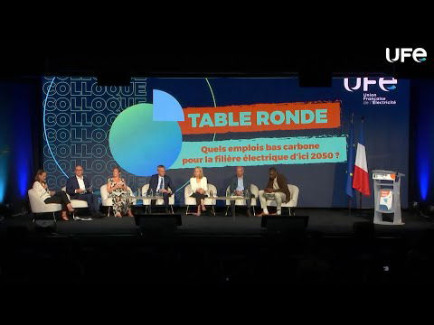 Quels emplois bas carbone pour la filière électrique d’ici 2050 ?