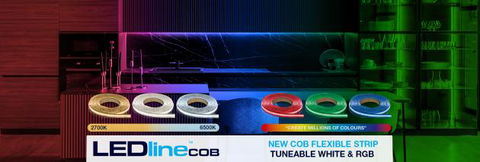 New additions to the LEDLineCOB strip range