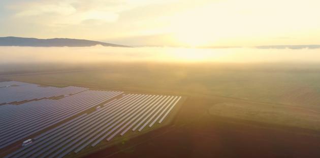 COP27: ECA CEO Discusses the Electrotechnical Sector’s Role in the Transition to Net Zero