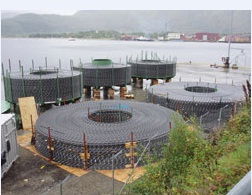 Nexans to supply over 1,000 km of fibre optic cables for major subsea telecommunications project