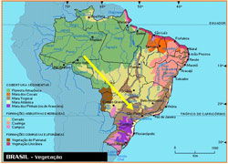 Nexans wins a 20 million euro contract in Brazil to supply overhead conductors for the world’s longest power transmission link