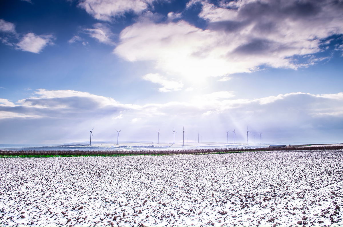 The Energy Predicament: Fuelling Transformation in the Energy Market