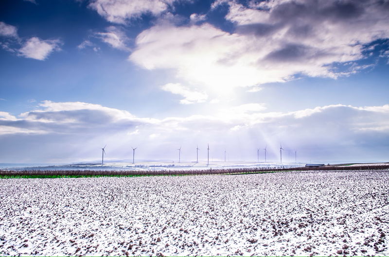 The Energy Predicament: Fuelling Transformation in the Energy Market
