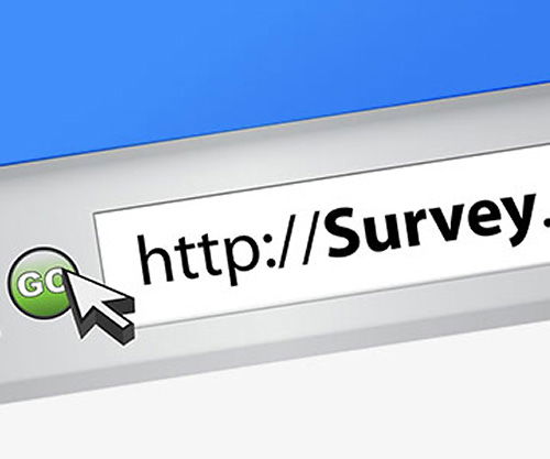 Voltimum Flash Survey Market Expectations - 2015