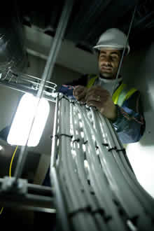 Afumex LSX range expands