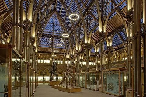 Museum of Natural History at Oxford University