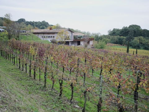 La cantina Subida di Monte unisce tradizione e innovazione grazie alle tecnologie Schneider Electric per l’elettrificazione e la gestione dell’edificio