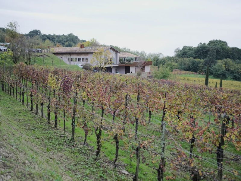 La cantina Subida di Monte unisce tradizione e innovazione grazie alle tecnologie Schneider Electric per l’elettrificazione e la gestione dell’edificio