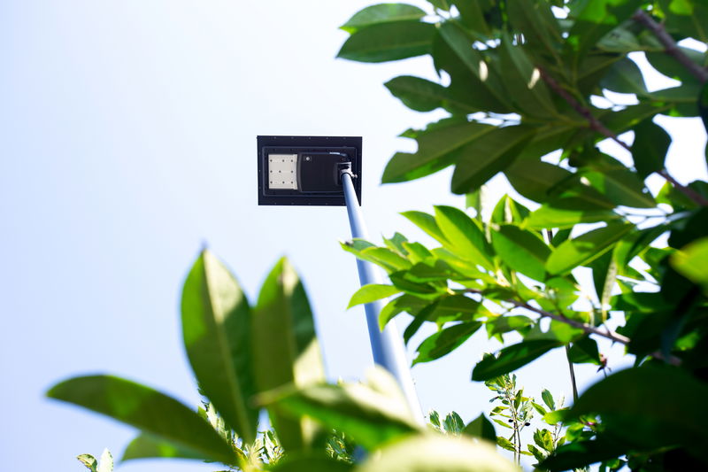 Perchè passare alle soluzioni di illuminazione solare con la tecnologia Signify?
