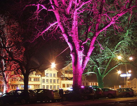 Arrivano gli alberi luminescenti, addio lampioni