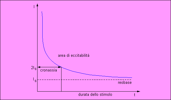 Potenziale d’azione