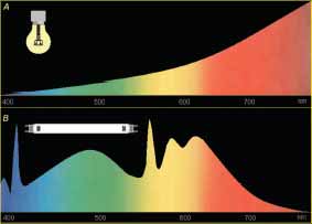I colori e le radiazioni elettromagnetiche