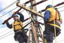 Guide to Work on De-Energized Distribution Overhead Lines - November 2015 Issue 4 is now available