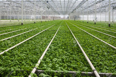 Nursery benefits from EECA Award win as new awards open