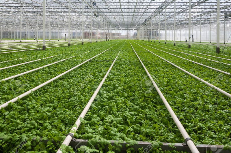 Nursery benefits from EECA Award win as new awards open