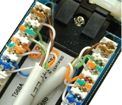 content gallery 1