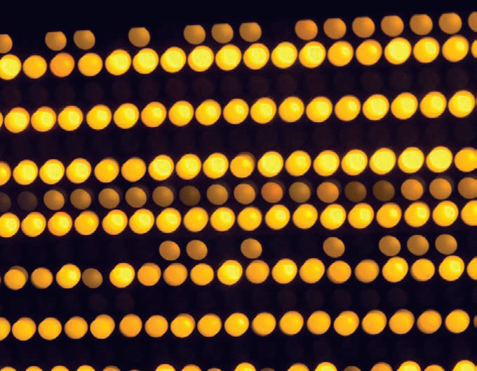 Transformações T8/T5/LED — Práticas, simples, rápidas e... ilegais e não eficientes