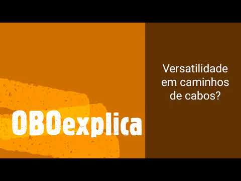 OBO explica: Versatilidade em caminhos de cabos - OBO Bettermann