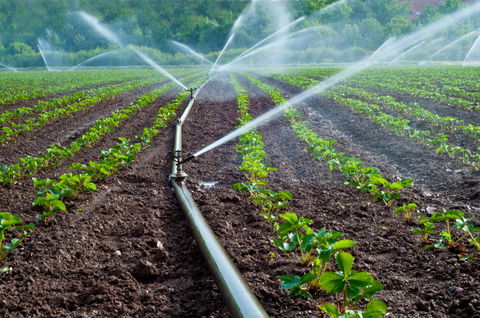 Os Cabos Flexíveis Para Aplicações Agrícolas Desempenham Um Papel Crucial