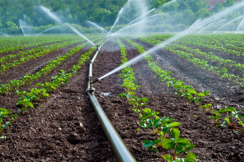 Os Cabos Flexíveis Para Aplicações Agrícolas Desempenham Um Papel Crucial