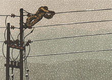 SEK Handbok 446, Elanläggningar – Säkerhet vid arbete i ny utgåva