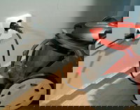 Eljo Trend Kombi vägguttag