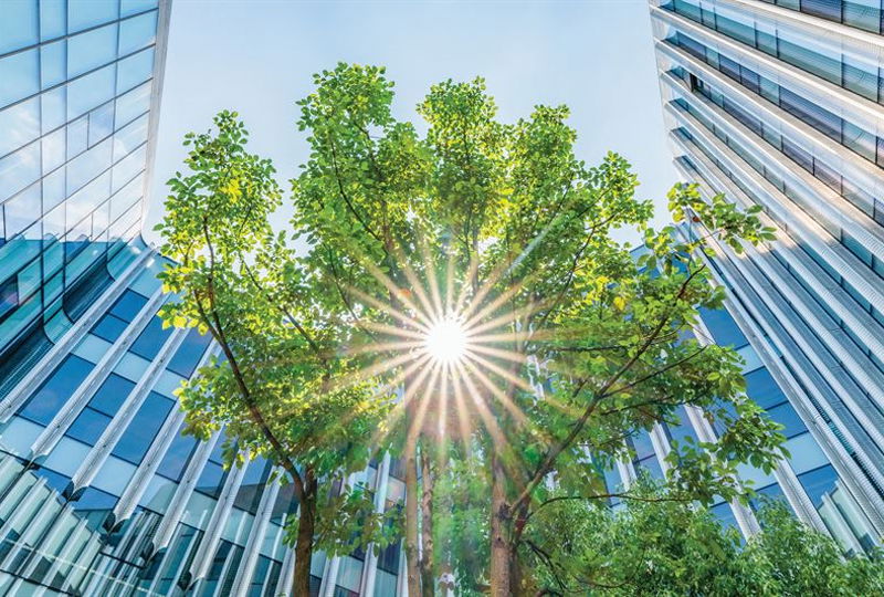 Företag inom vård- och omsorg: Kunskapsbrist och resurser bromsar framtidens byggnader