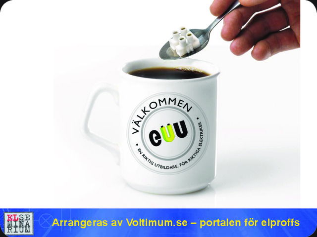 Skötsel av elektriska anläggningar