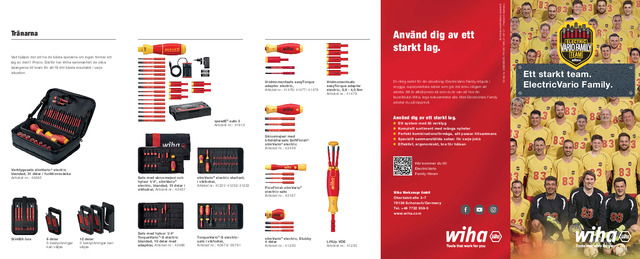 Flyer Electric Vario Family