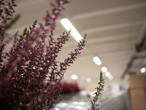 Exaktor hjälpte Spira med bättre arbetsförhållanden, miljö och ekonomi