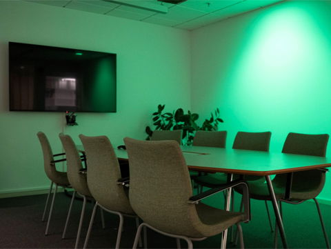 Belysningsstiftelsen stöttar migränforskning