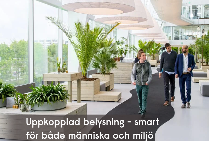 Signifys belysning – smart för både människa och miljö
