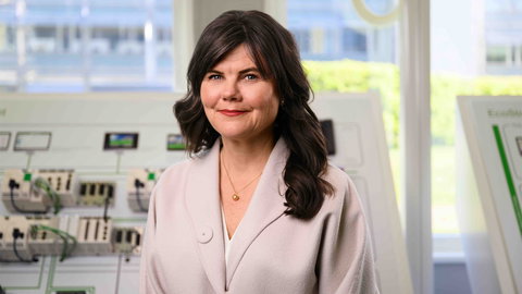 Sverige behöver ett mer robust elnät innan nästa storm slår till