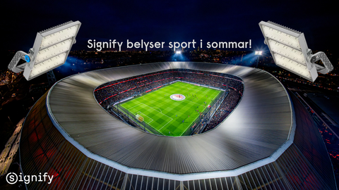 Sommaren är sport!