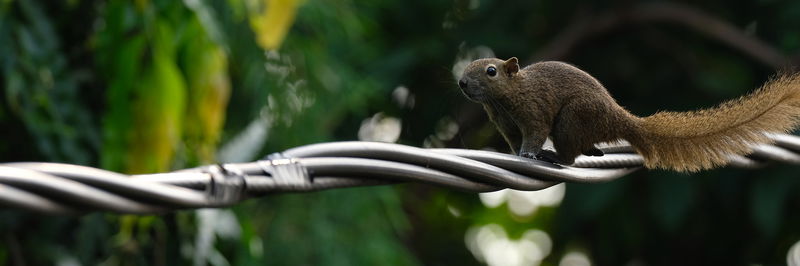 Bite back: protecting against pest problems