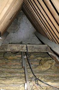 Q & A of the Day – What type of conduit to use with loft wiring?