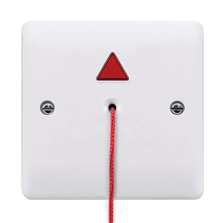 ESP launches disabled toilet alarm system