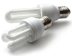 Energy efficient lighting in domestic premises