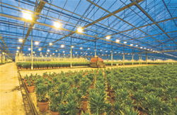 The provision of information within BS 7671 Part II