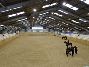 Luceco puts Racing Heroes In the spotlight!