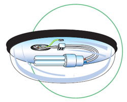 Bulkhead luminaires - The common snag and its solution from the NICEIC