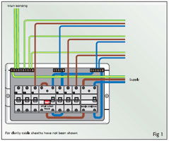 Arrangement or marking of wiring at distribution boards and consumer units