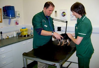Q & A of the Day – A veterinary practise is having its consumer unit upgraded – should I use RCBOs for all outgoing circuits?