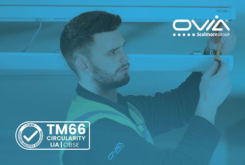 What is TM66?