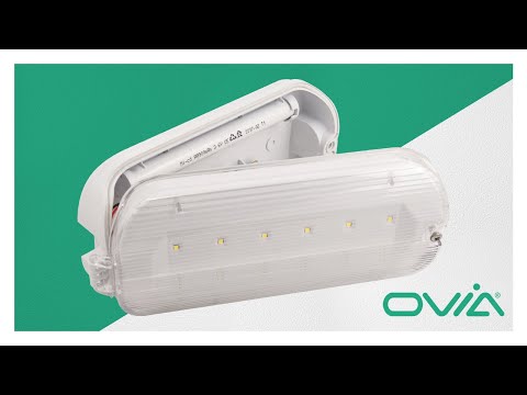 Inceptor Hulke - Ovia