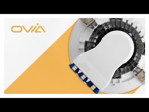 Inceptor Iona - Ovia