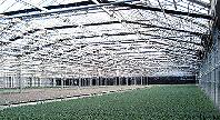 Q & A of the Day – Is 300mA RCD protection required for this glasshouse installation?