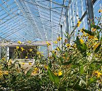 Q & A of the Day – Should I increase the size of this cable to improve voltage drop?