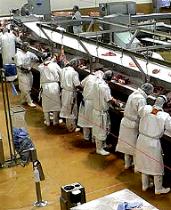 Q & A of the Day - Should I carry out an earth fault loop impedance test?