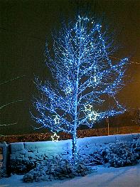 Q & A of the Day – How do I meet regulations with this Christmas tree lighting?